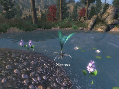 Un nirnroot